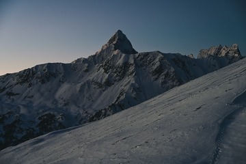 1000154644