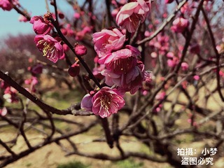 288C7E13-E11F-46CE-B6A5-F872762C33FB/L0/001