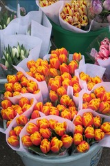 FFF35E52-667F-4517-9CC0-16C9DB9ED711/L0/001