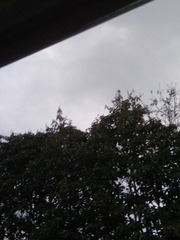 1007953
