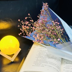 C904F2E8-7E4C-417F-83A4-4B6BBB594ED9/L0/001