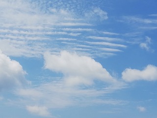 923975