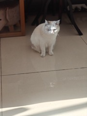 1000051627