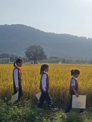 1000043715