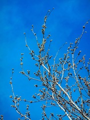 DSCN1448