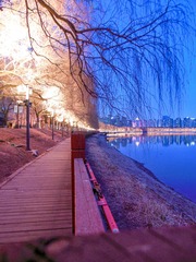 DSCN1377