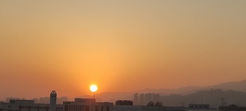 1000061161