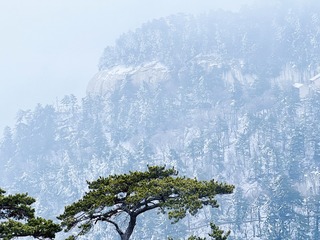 63F09B22-ED90-4B76-8D10-3C888972DF0B/L0/001