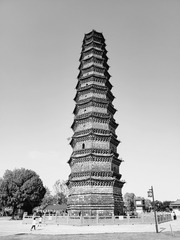 1000032941