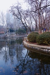 D7991CBD-DD7B-4CD1-ACA1-3E45B0F99940/L0/001