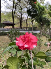 5AC688F6-CF41-4999-BF4B-387FA6FC0279/L0/001