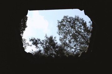 362482