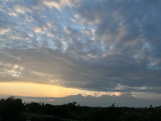 6B8256F8-22D4-497E-9A3A-48C8CCF4402D/L0/001