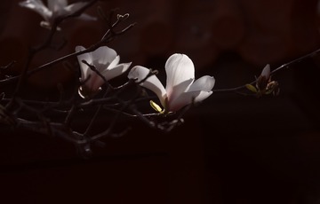 1330456