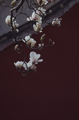 1330124