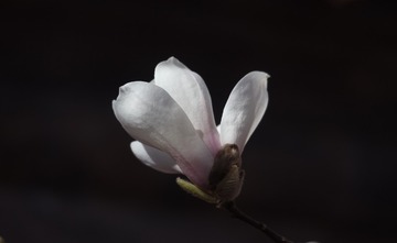 1330421