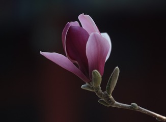 1330849