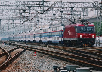 1000008369