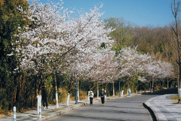 B76FE25F-20B5-42D7-8A45-20CB7E28BBE1/L0/001