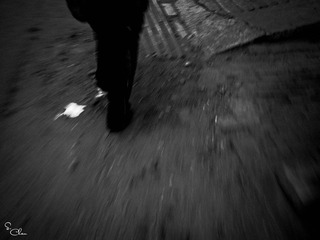 _0010117.jpg