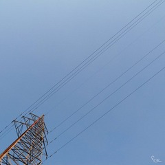 0010469.jpg