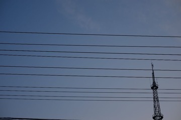 _DSF3337.JPG