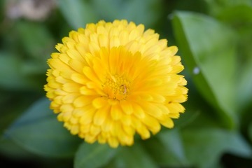 _DSF5164.JPG