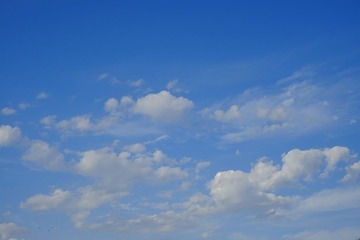 _DSF5165.JPG