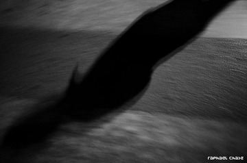 _R010148