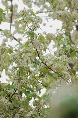 920F2660-6F58-4298-BFDD-2AB00D9797F9/L0/001