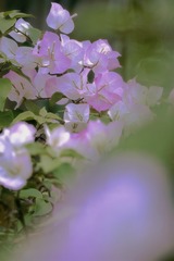 1A9F4DF7-D704-4A9A-BBBF-270879FFC019/L0/001