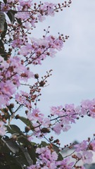 410FE757-D0CF-4AB8-8822-C99045E807DD/L0/001