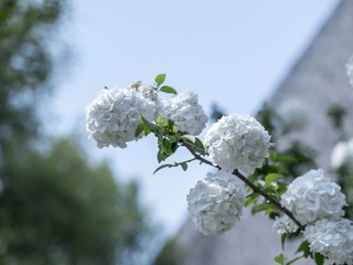 40B07395-A176-45A5-AC64-B854A7CF2B5C/L0/001