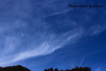 IMG_3574.jpg