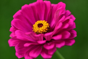 51F5F5DB-244A-42CD-BB33-0D6971EA5BC7/L0/001