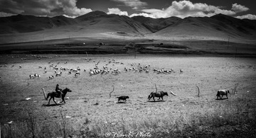 DSC_0635-1
