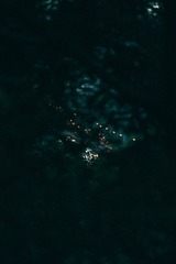 1000020670