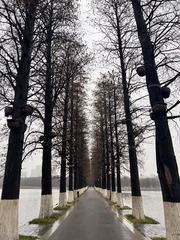 DC2678A7-04DC-4CC2-A7A7-CC5CD9D2F1A6/L0/001