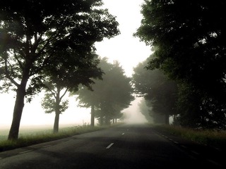 a foggy morning.jpg