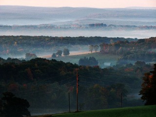 foggy morning.jpg