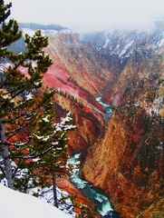 YellowStone 011.jpg