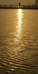 5E499BA7-7637-4643-A251-6D30B7BF5FFE/L0/001