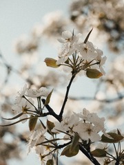 00CBEE64-7CFE-4241-8740-A1127AB0DA07/L0/001