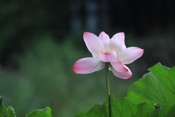 91B6A1FE-47DD-40FC-B0FF-B9094E4E9078/L0/001
