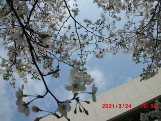 90289782-A734-48F7-B7F5-82B0A43E0C2E/L0/001