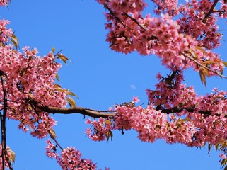 9E383C60-4C4C-4605-A0C5-23776B0F9C97/L0/001