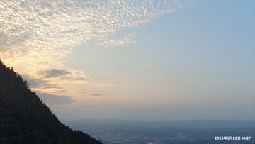 1000082598