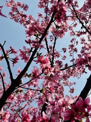 87028AFB-1C5E-44C5-91B3-31F8A1207CA7/L0/001