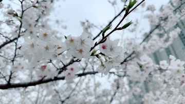 D339397A-FD09-45AA-99FC-E9018668581B/L0/001