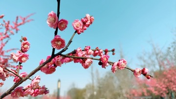 8B3D8517-B37F-4BE0-B071-90C8E5D2ECA3/L0/001